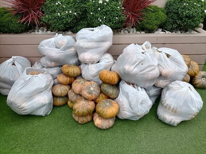 2021 Feeding Program Activity 42