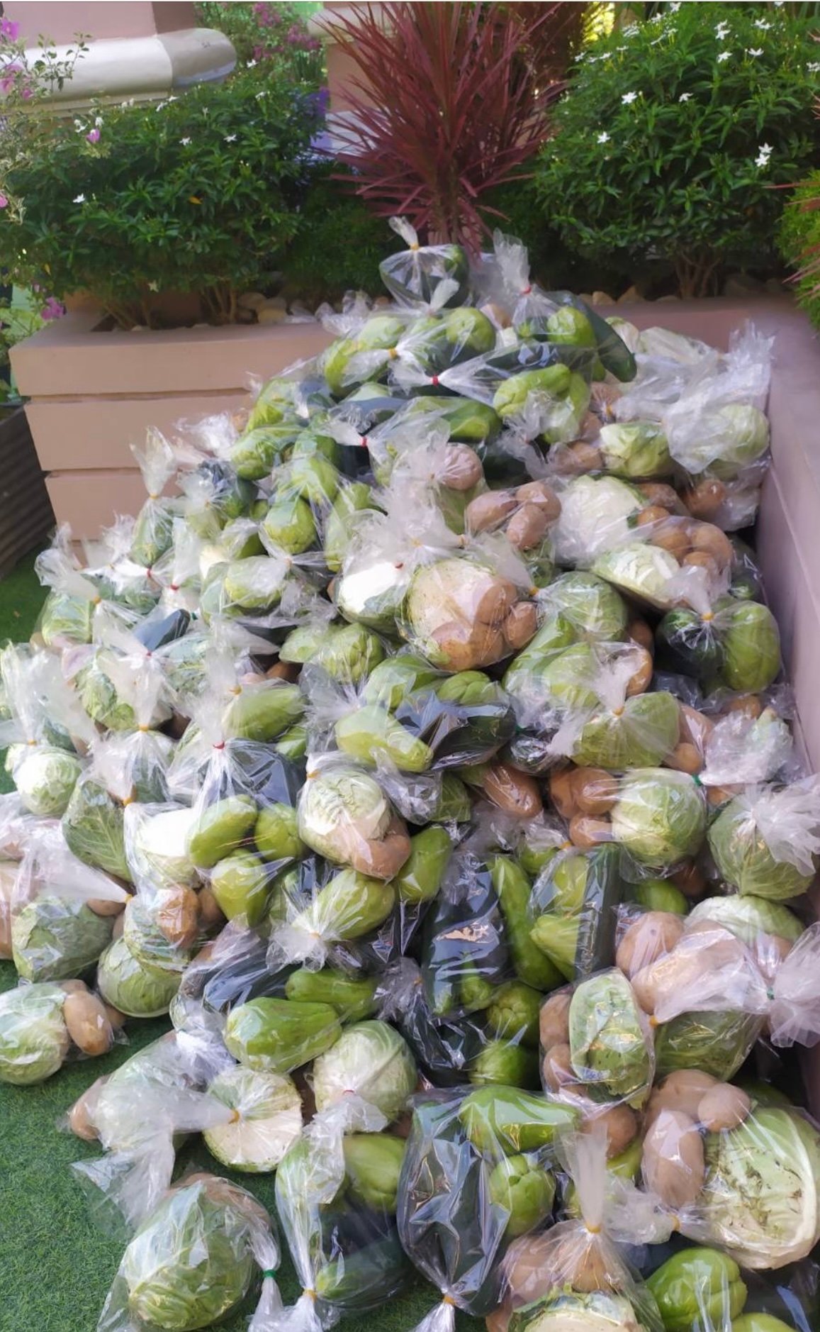 2021 Feeding Program Activity 73