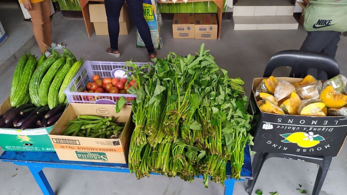 2021 Feeding Program Activity 28